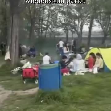 ZWYKŁY, SZARY DZIEŃ WE WIEDEŃSKIM PARKU.