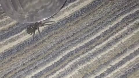 💀😂 Oh Hell No! You Won't Believe This Cringe Moment! | FunFM