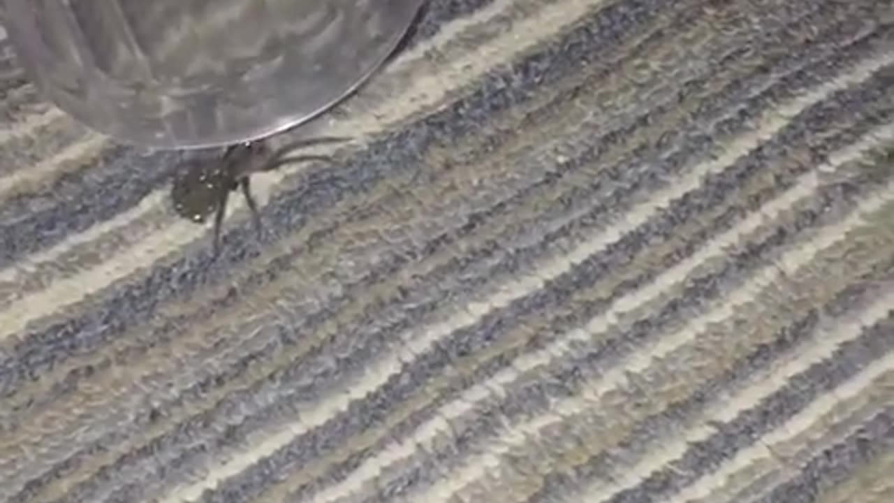 💀😂 Oh Hell No! You Won't Believe This Cringe Moment! | FunFM