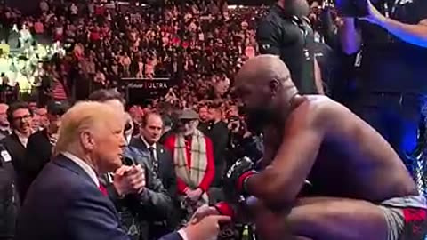 US President-elect Donald Trump in attendance at UFC