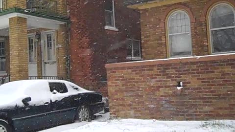 Getting Ready for a fresh Rehab, THE SHEA SHOW