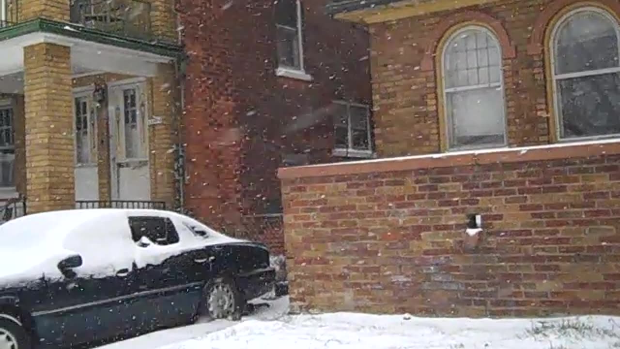 Getting Ready for a fresh Rehab, THE SHEA SHOW