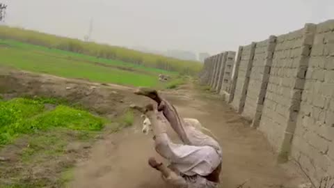 Comedy 😂 video 😀