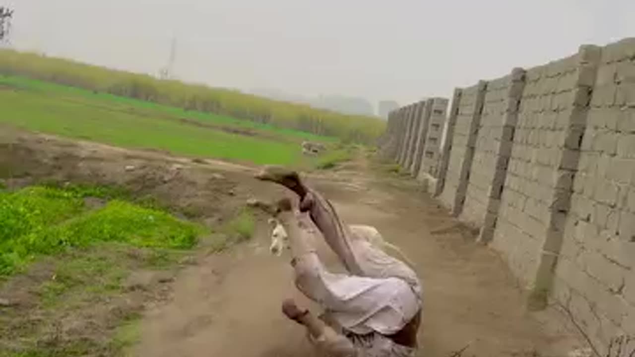 Comedy 😂 video 😀