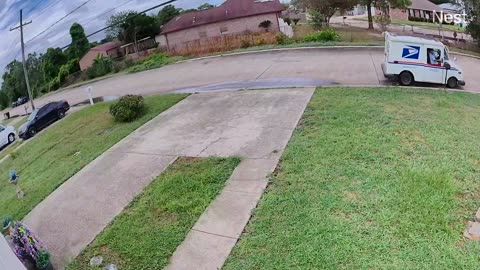 Nest Camera Mail Lady Peels Out