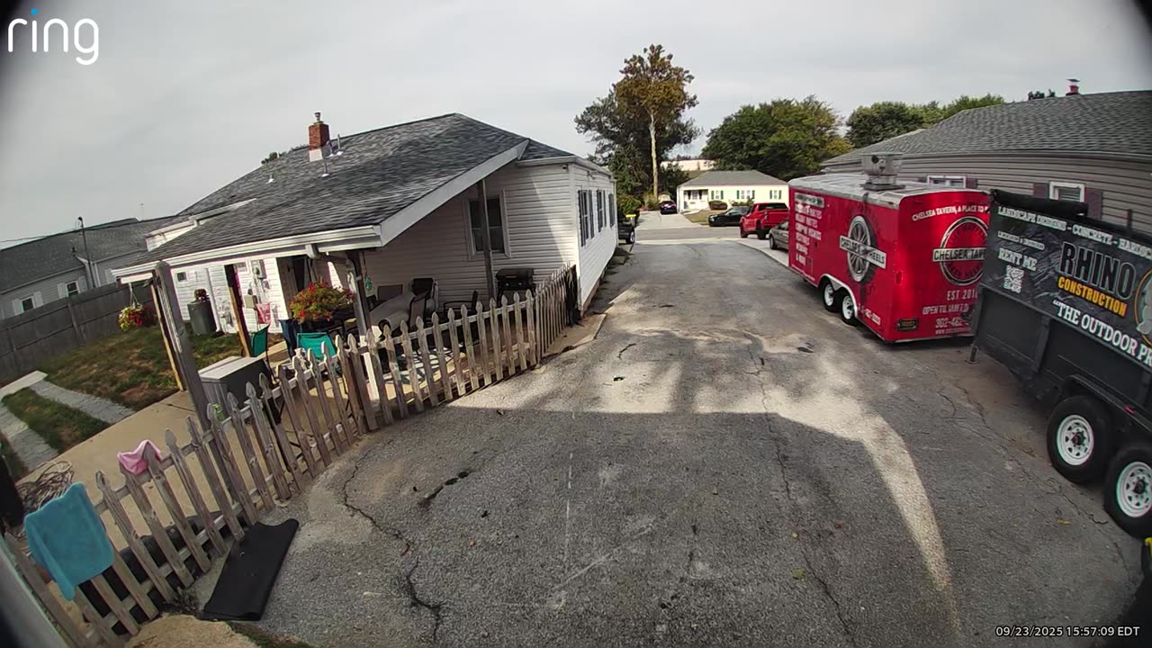 Skunk Tries to Spray Dog