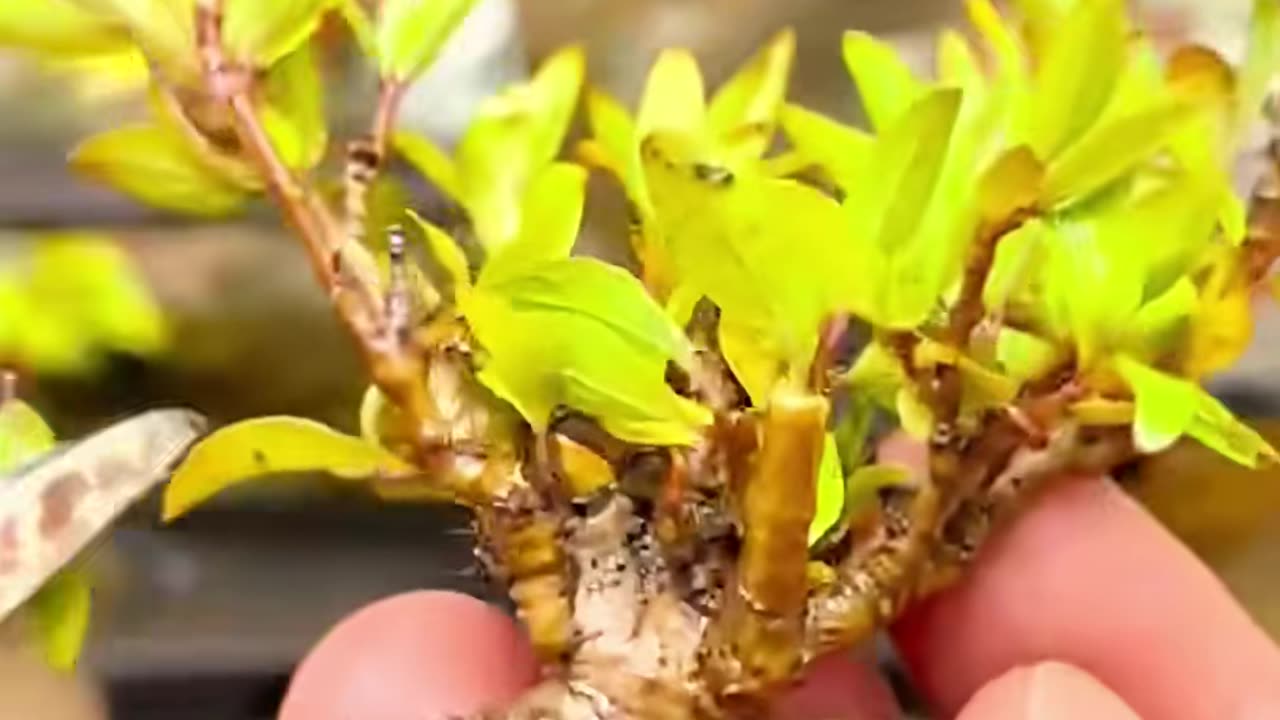 🤯✨ Unlock Your Bottled Secrets With This Easy Trick! | LifeHacksDaily