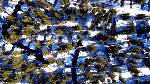 Pet Friendly Cabins Lake Tahoe for a Relaxing Getaway with Your Dog