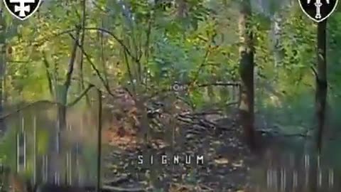 🛸🌲 Ukraine Russia War | FPV Drone Hunts Russian Infantry in Dense Forest | RCF