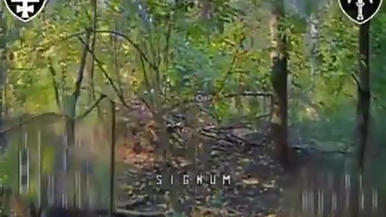 🛸🌲 Ukraine Russia War | FPV Drone Hunts Russian Infantry in Dense Forest | RCF