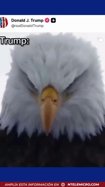 Donald Trump se burla de Nicolás Maduro