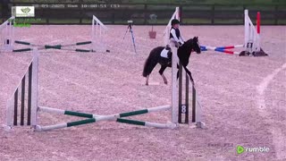 Arena Livestream & More