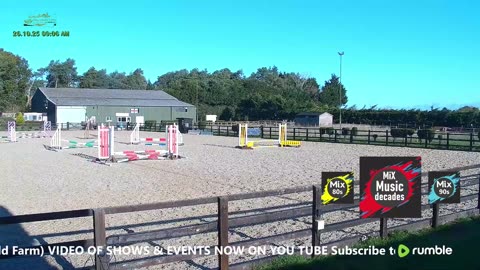 Arena Livestream & More