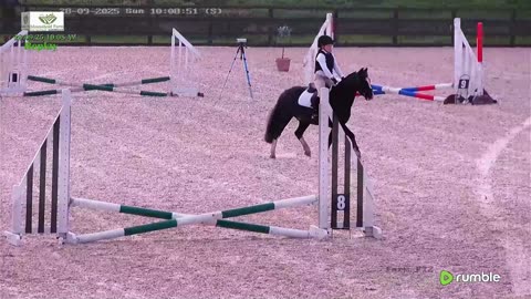 Arena Livestream & More