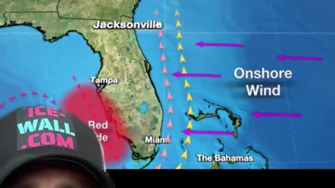 South America was connected to Antartica...