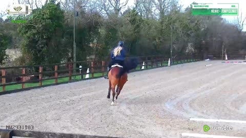 Riding arena Livestream & Replays