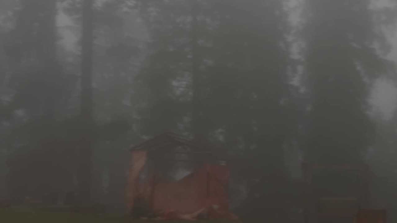Heavy rain