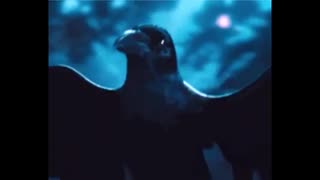 Social Breakdown - Max Igan