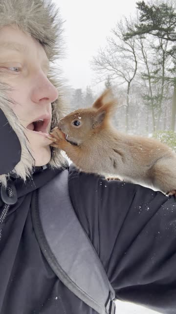 Man Passes a Nut to a Squirrel Mouth to Mouth