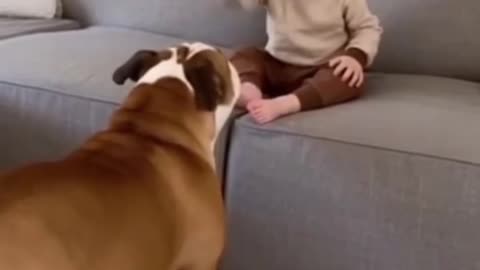 Cute Baby Playing with hi Adorable Animals 🐶🐱 | Heartwarming Moments You’ll Love