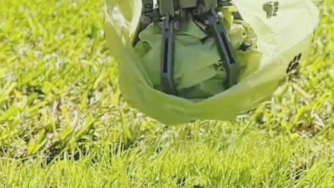 Effective Handheld Dog Pooper Scooper 🐶 | Zero-Touch Pet Waste Grabber – Smart Cleaning Gadget 2025