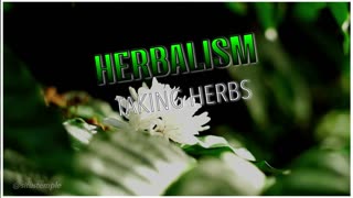 Herbalism - How to Take Herbs
