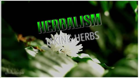 Herbalism - How to Take Herbs