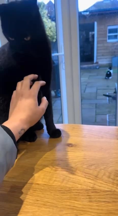 When you are still mad at someone