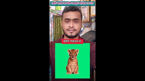 ছোট্ট বাঘের মাথাটি জোড়া লাগিয়ে দেখান #shorts #puzzal #challenging #viral