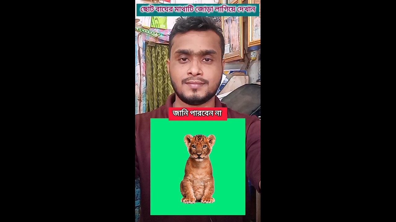 ছোট্ট বাঘের মাথাটি জোড়া লাগিয়ে দেখান #shorts #puzzal #challenging #viral