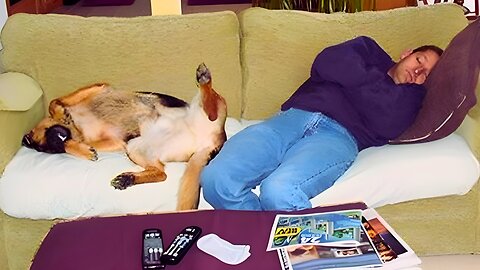 Pawsitively Hilarious! Dogs Copying Their Humans Will Leave You in Stitches 😂 | Rumble Viral