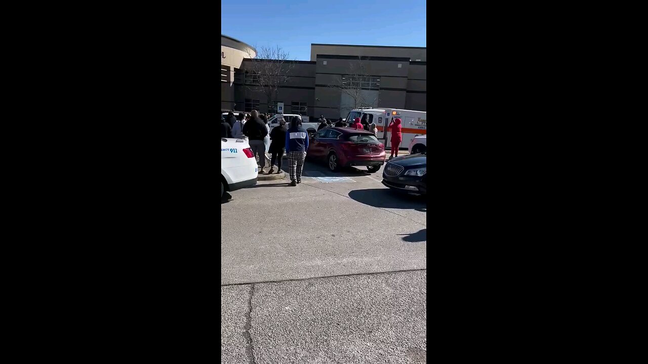 Nashville school shooter shoots 2 students and takes own life.