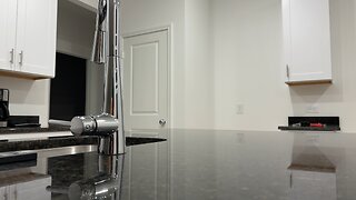 FEAR THE POLACO THAT LEARNED ENGLISH NOT