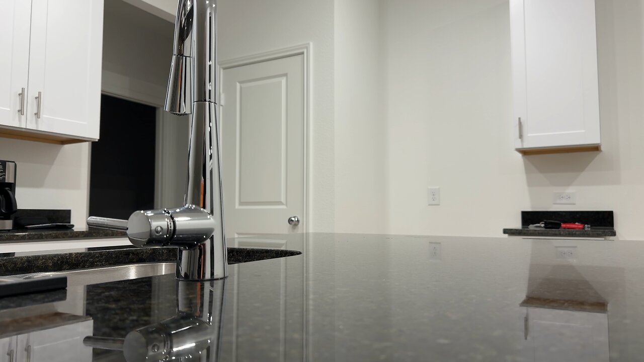 FEAR THE POLACO THAT LEARNED ENGLISH NOT