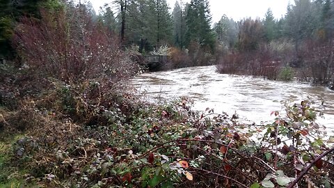 High Water on Upper Cow Creek