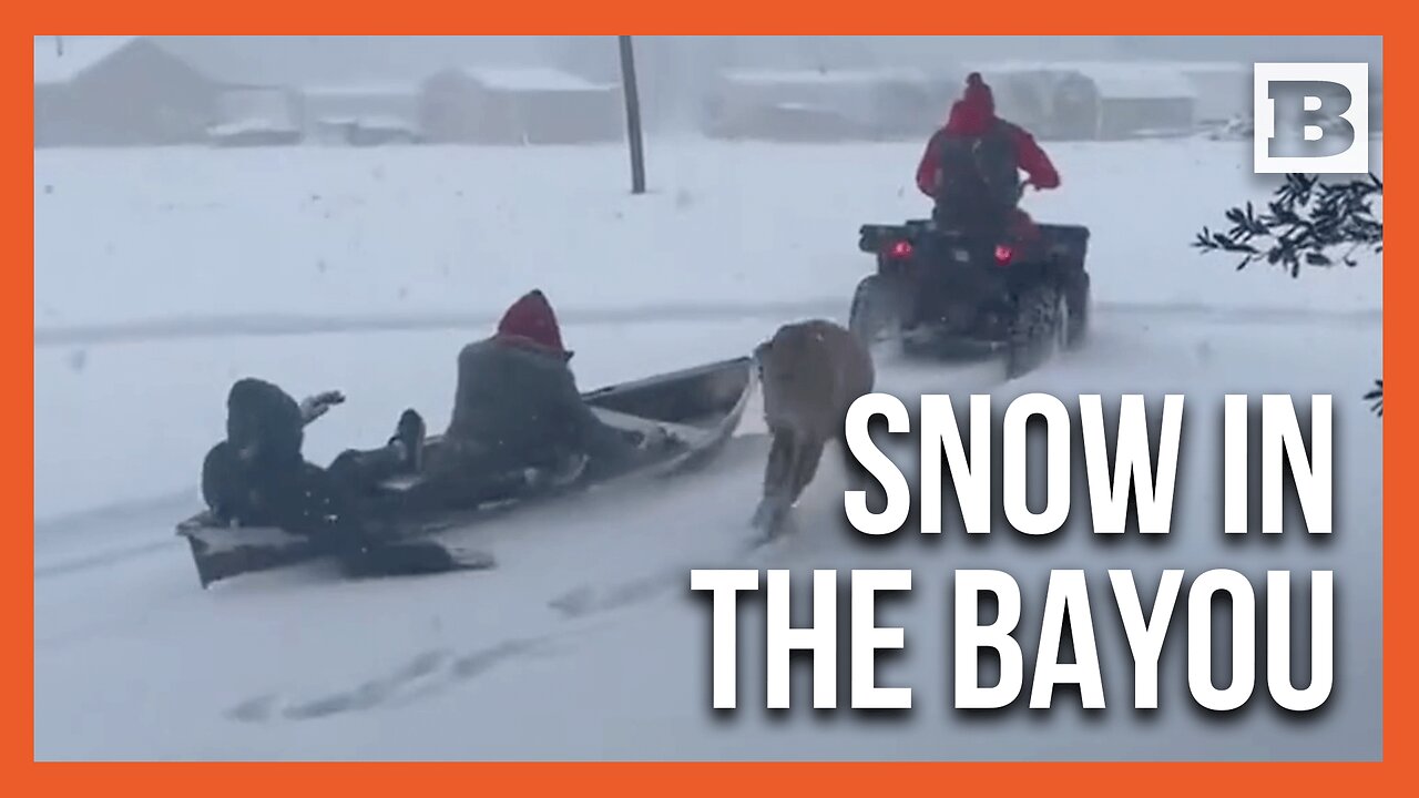 Swamp Meets Winter: Snow Storm Turns Bayou into Sledding Playground