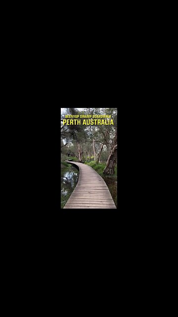 Exploring Perth Australia: Beenyup Swamp Boardwalk