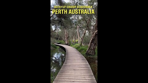 Exploring Perth Australia 🇦🇺: Beenyup Swamp Boardwalk #shorts