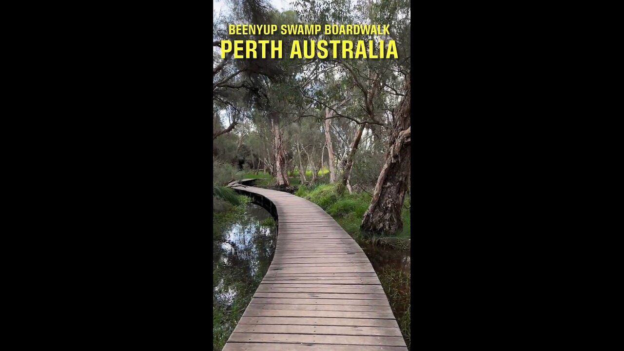 Exploring Perth Australia: Beenyup Swamp Boardwalk #shorts