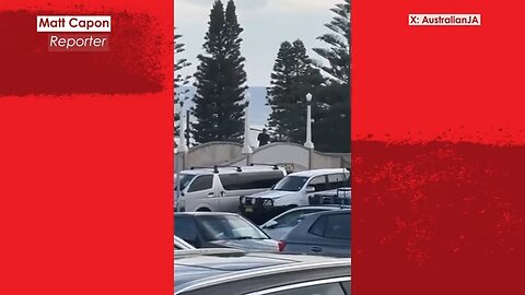 Bondi Beach Terror Attack: Bystander Tackles Gunman | at Least 12 Dead