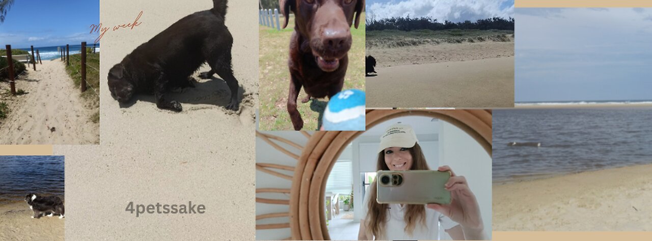 Pet care for the week