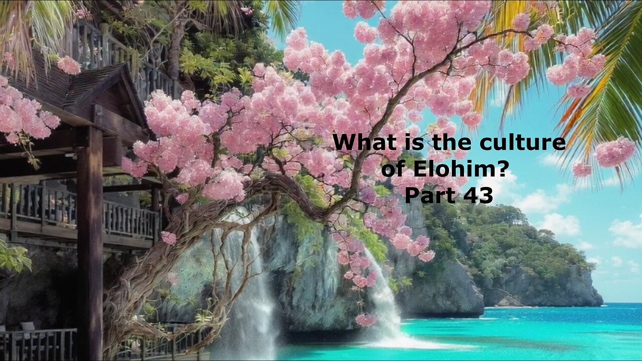 What is the culture of Elohim? Part 43