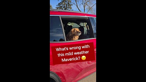 What's wrong with this mild weather Maverick? 🙁