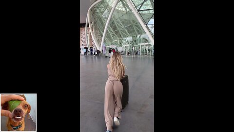 Funny videos compilation 9