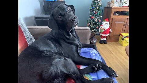 Santa is real