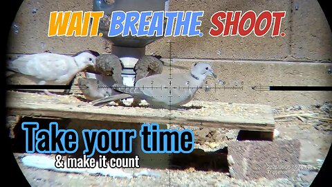 Volume 5 - Putting The Umarex Notos To Work - Shooting Compellation!