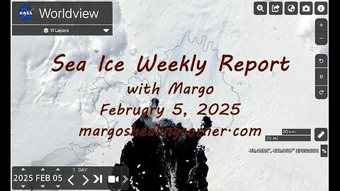 Sea Ice Weekly Report with Margo (Feb. 5, 2025)