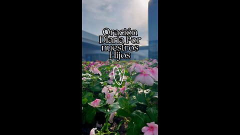 Oración diaria por nuestros hijos 🙏