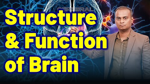 Structure and function of Brain in Cerebral Palsy| Neurology Psychiatry | Dr. Bharadwaz