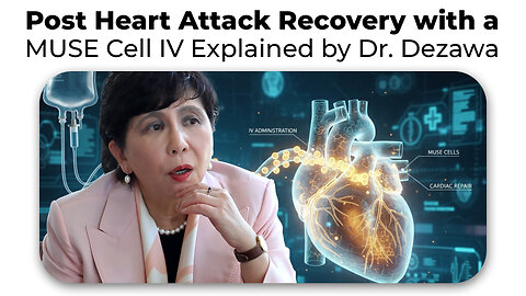 Post Heart Attack Recovery with a MUSE Cell IV Explained by Dr. Dezawa